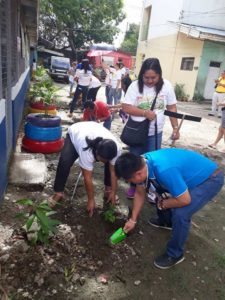 18492260_1728933790457328_1130775781_n